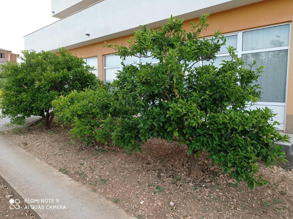 Studio Apartment With Balcony Τρογκίρ Εξωτερικό φωτογραφία
